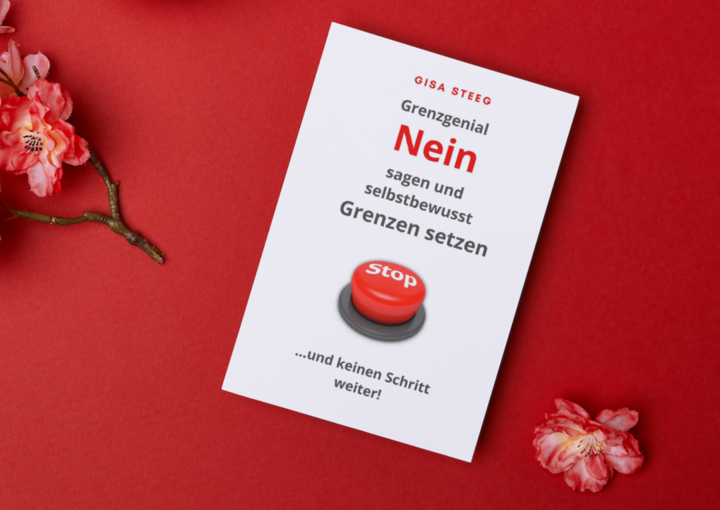 Meine Buchempfehlung für dich: "Grenzgenial Nein sagen und selbstbewusst Grenzen setzen“