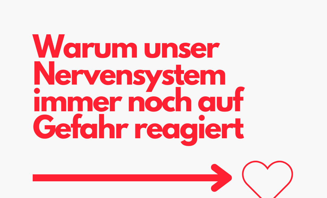 Warum unser Nervensystem immer noch auf Gefahr reagiert von Gisa Steeg