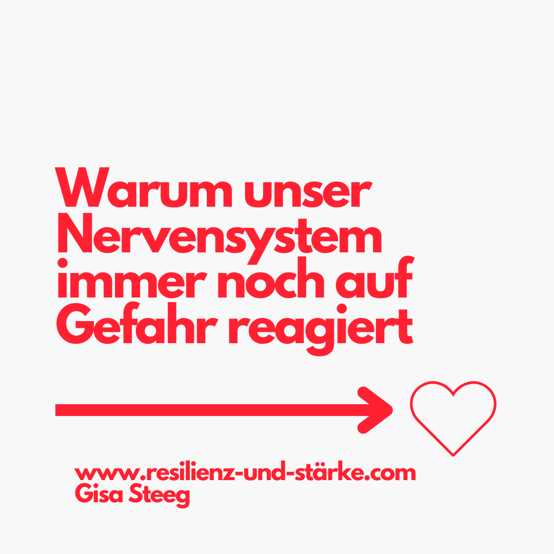 Warum unser Nervensystem immer noch auf Gefahr reagiert von Gisa Steeg