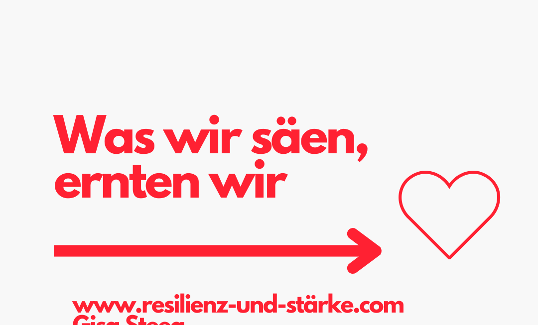 Was wir säen, ernten wir, ein Artikel von Gisa Steeg