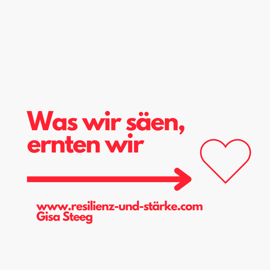 Was wir säen, ernten wir, ein Artikel von Gisa Steeg