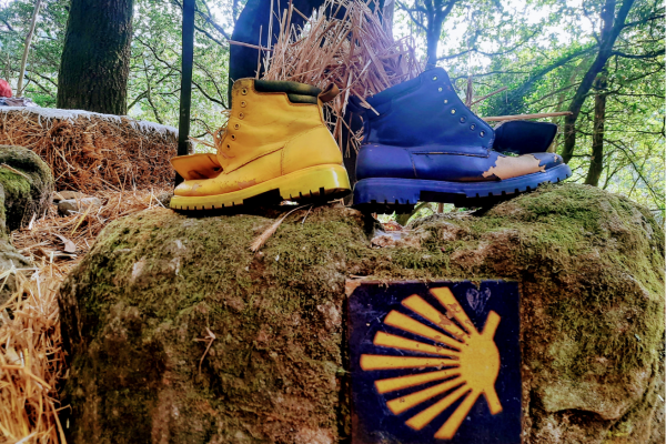 Der Ruf des Caminos: Der Portugiesische Jakobsweg, ein Weg für die Seele