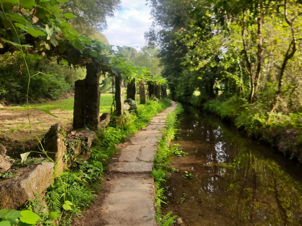 Die Wege, der Camino