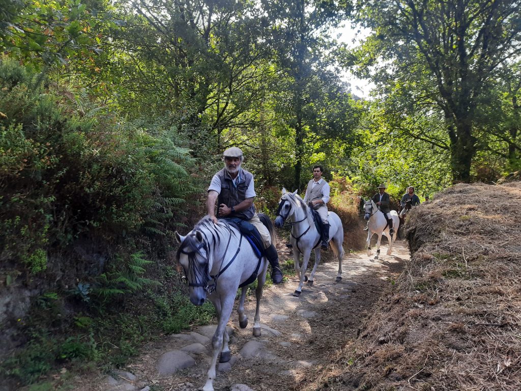 Die Wege, der Camino