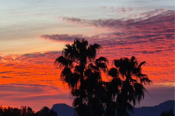 Mein Abschied von der Insel und wenn das Stopp zum Startschuss wird