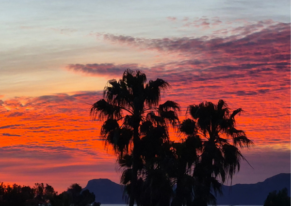 Mein Abschied von der Insel und wenn das Stopp zum Startschuss wird