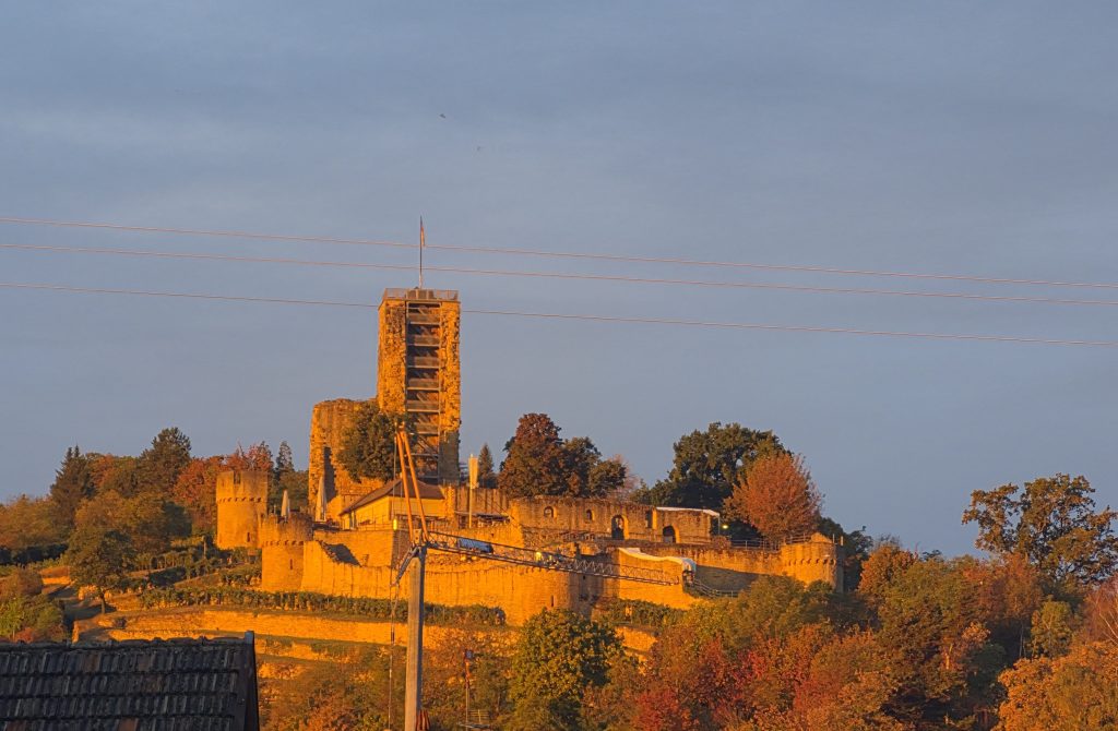 Die Wachtenburg Wachenheim a. d. Weinstraße (Bild: Gisa Steeg, Blick aus meinem Wohnzimmer)